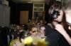 dsc03228_small.jpg